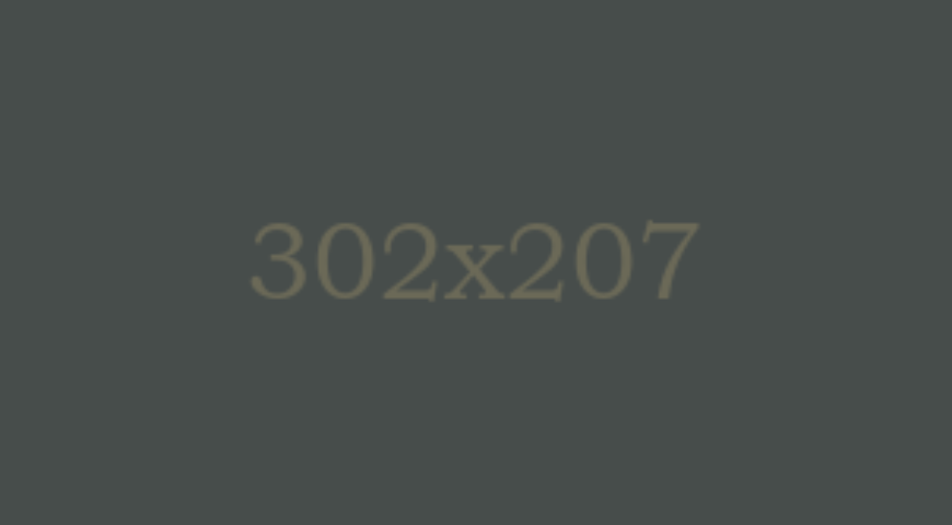 partner-02