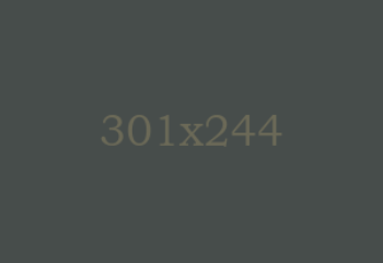 partner-04