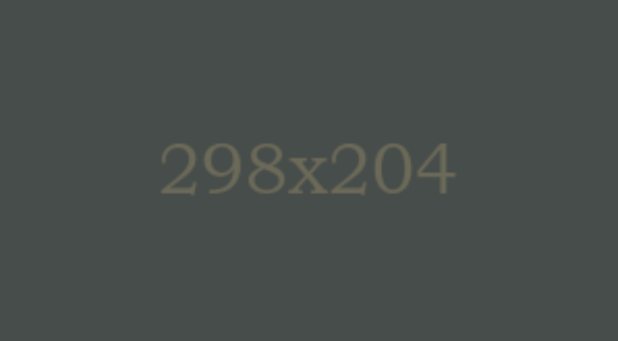 partner-05